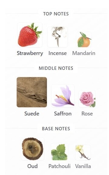  ادوپرفیوم نئون عود تاپ سنتس 