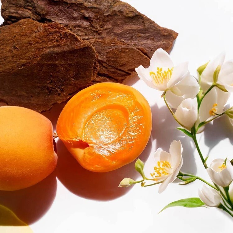 عطر اینفینیتا جدید